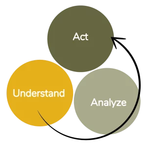 claire-luchini_3-steps_understand-analyze-act
