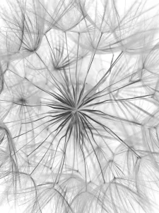 claire-luchini_photo-arriere-plan_hasan-almasi-unsplash